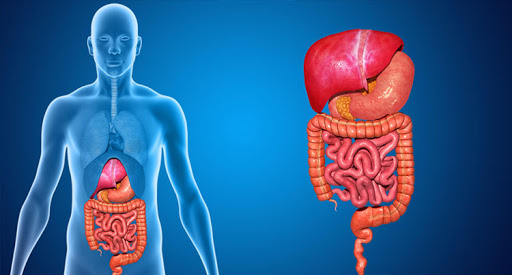 Best Gastroenterologist In Navi Mumbai